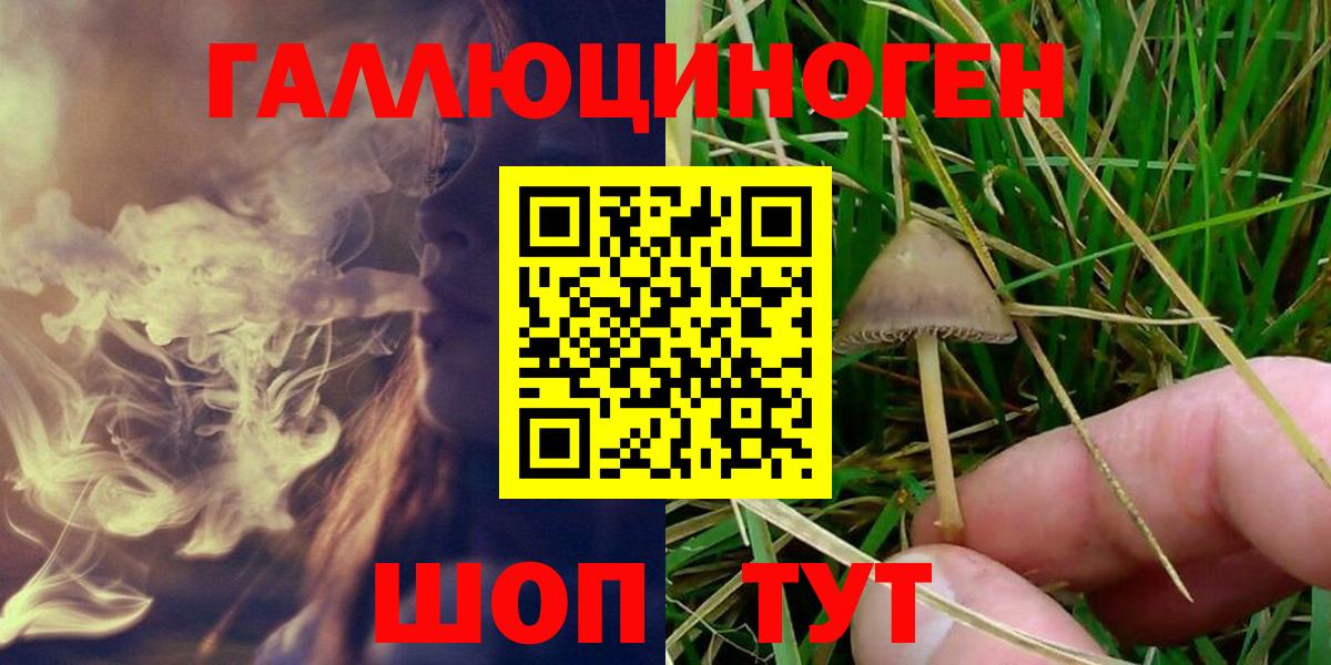 Галлюциногенные грибы Cubensis Избербаш